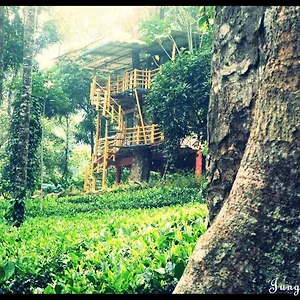 Frühstückspension Jungle Jive Tree House, Munnar