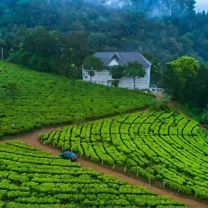 Hotel Tea Harvester, Munnar