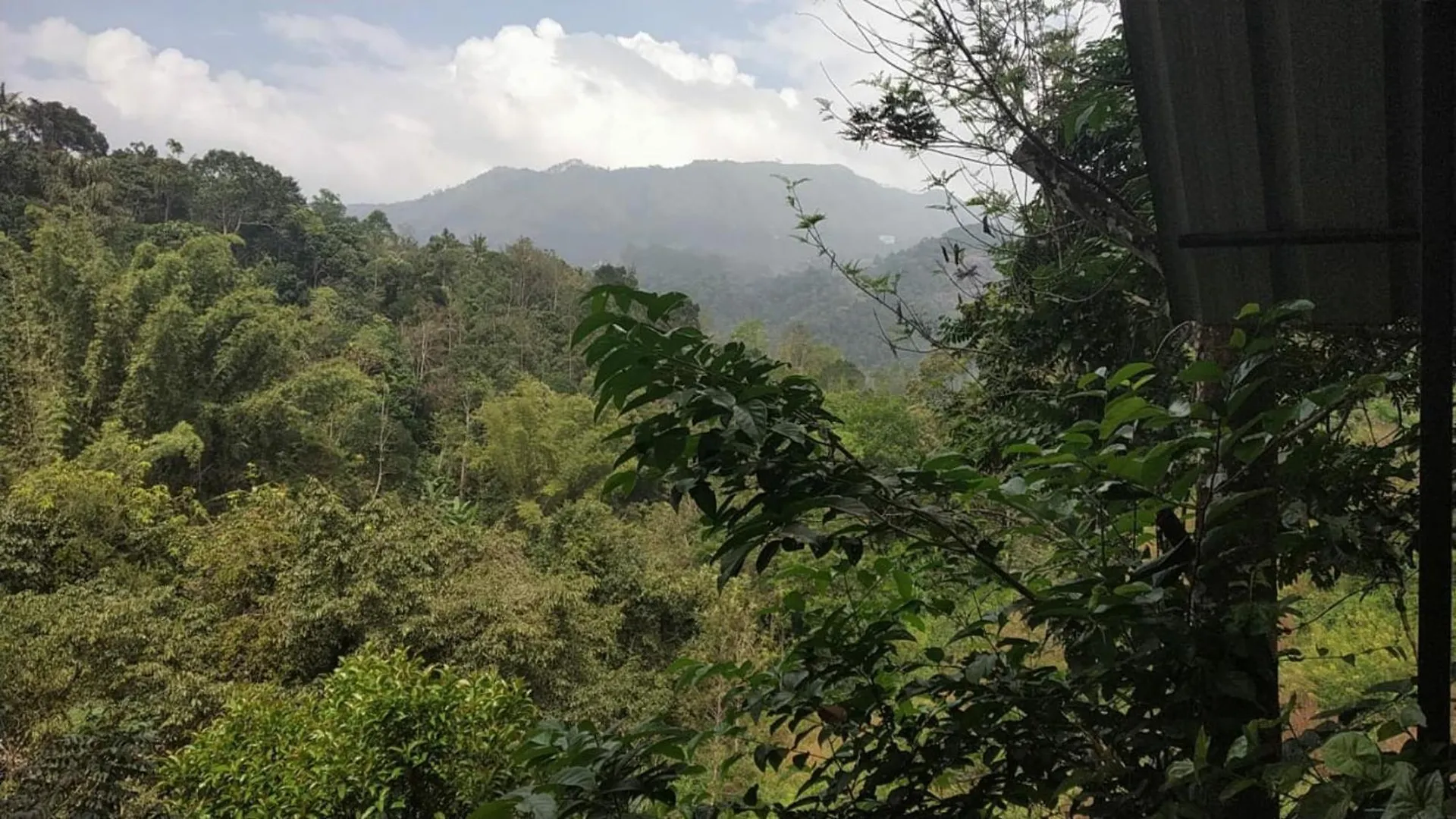 Villa Moselberg Riverside Cottages Munnar