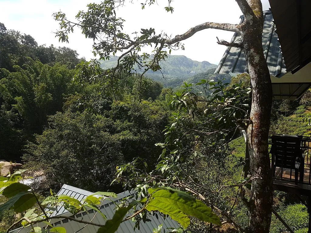 Moselberg Riverside Cottages Munnar