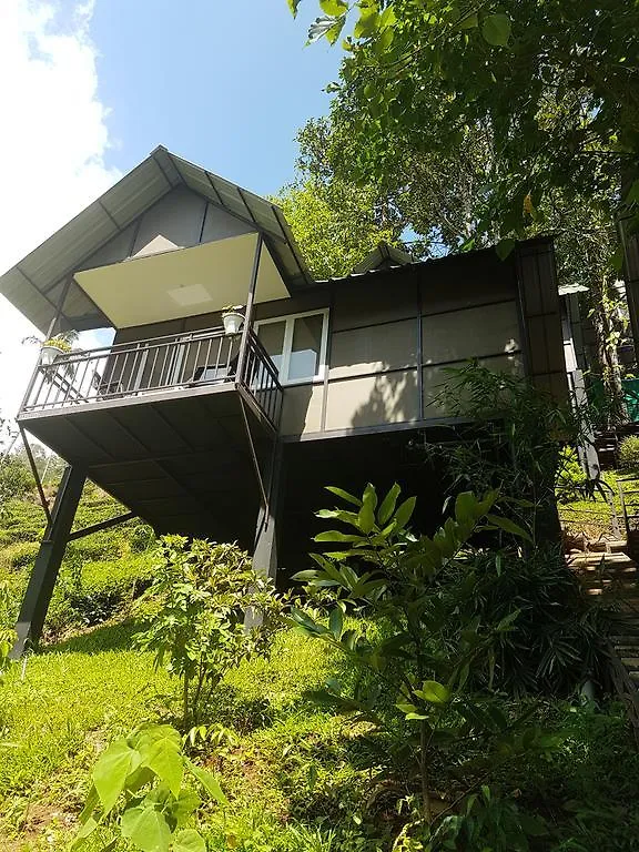 Moselberg Riverside Cottages Munnar Villa