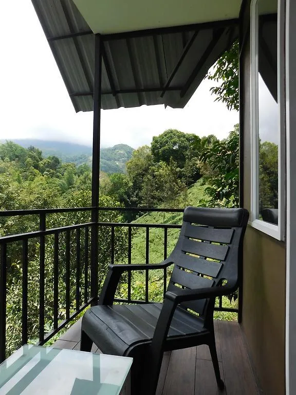 Moselberg Riverside Cottages Munnar