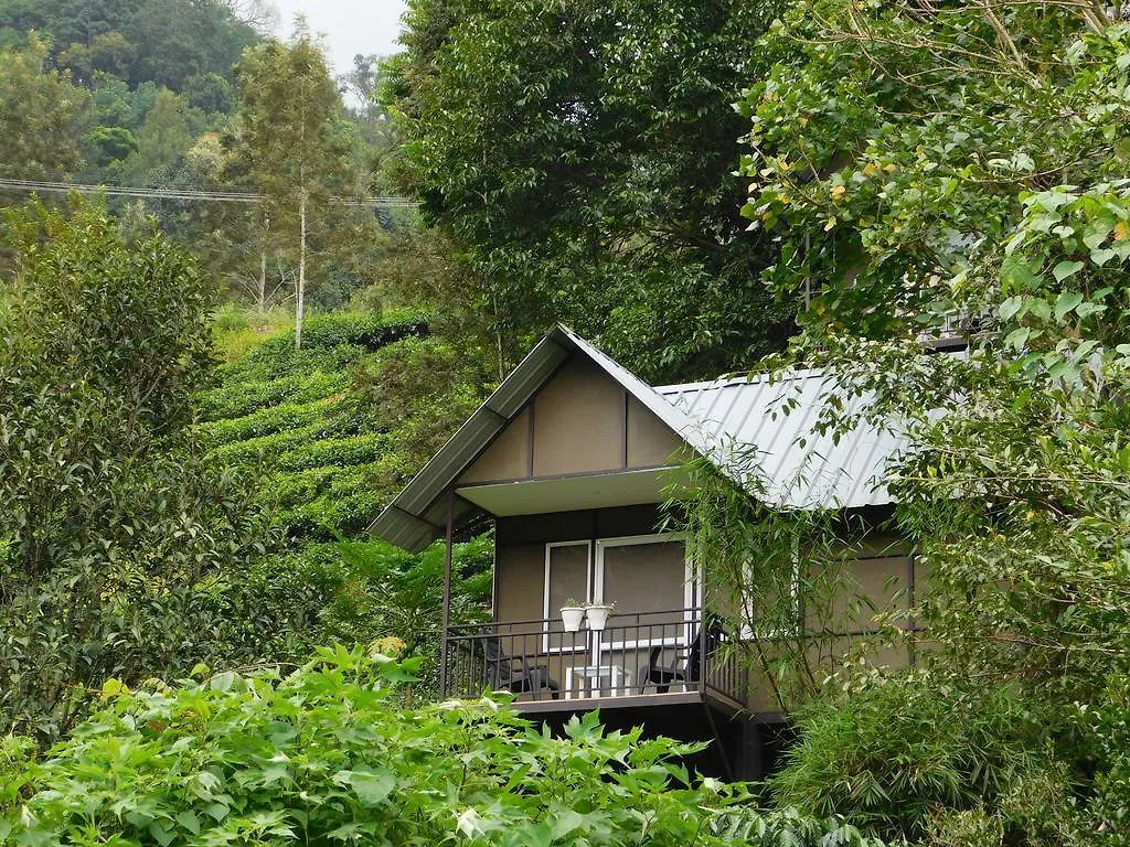 Villa Moselberg Riverside Cottages Munnar Indien