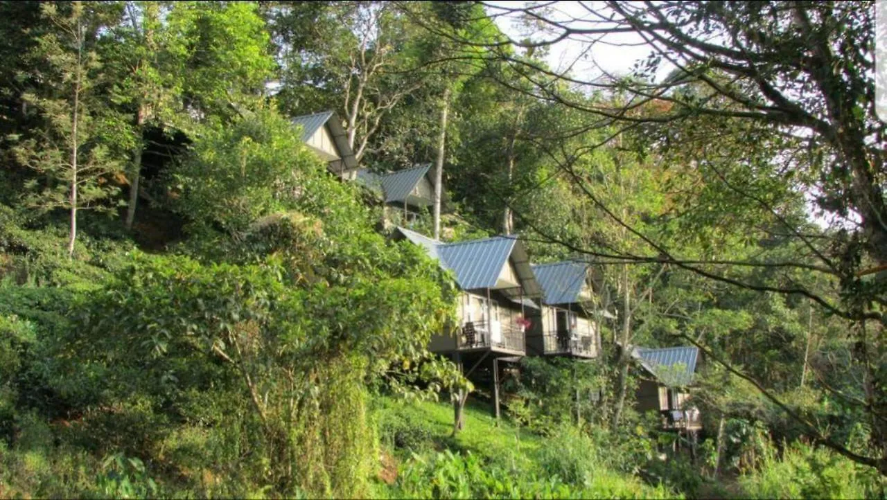 Moselberg Riverside Cottages Munnar Villa